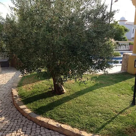 Sesmarias Lux - Luxury With Private Swimming Pool, Sea-views And Ac Villa *